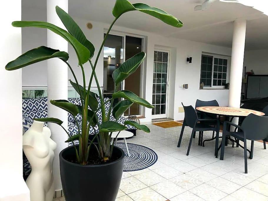 Pura Vida Strandnahes Ferienappartment In Bester Lage! Пуэрто-де-ла-Крус Экстерьер фото